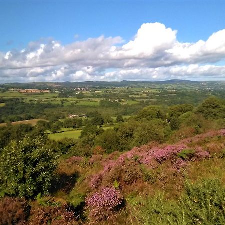 Tranquil Countryside Cottage For Two Wrexham Extérieur photo