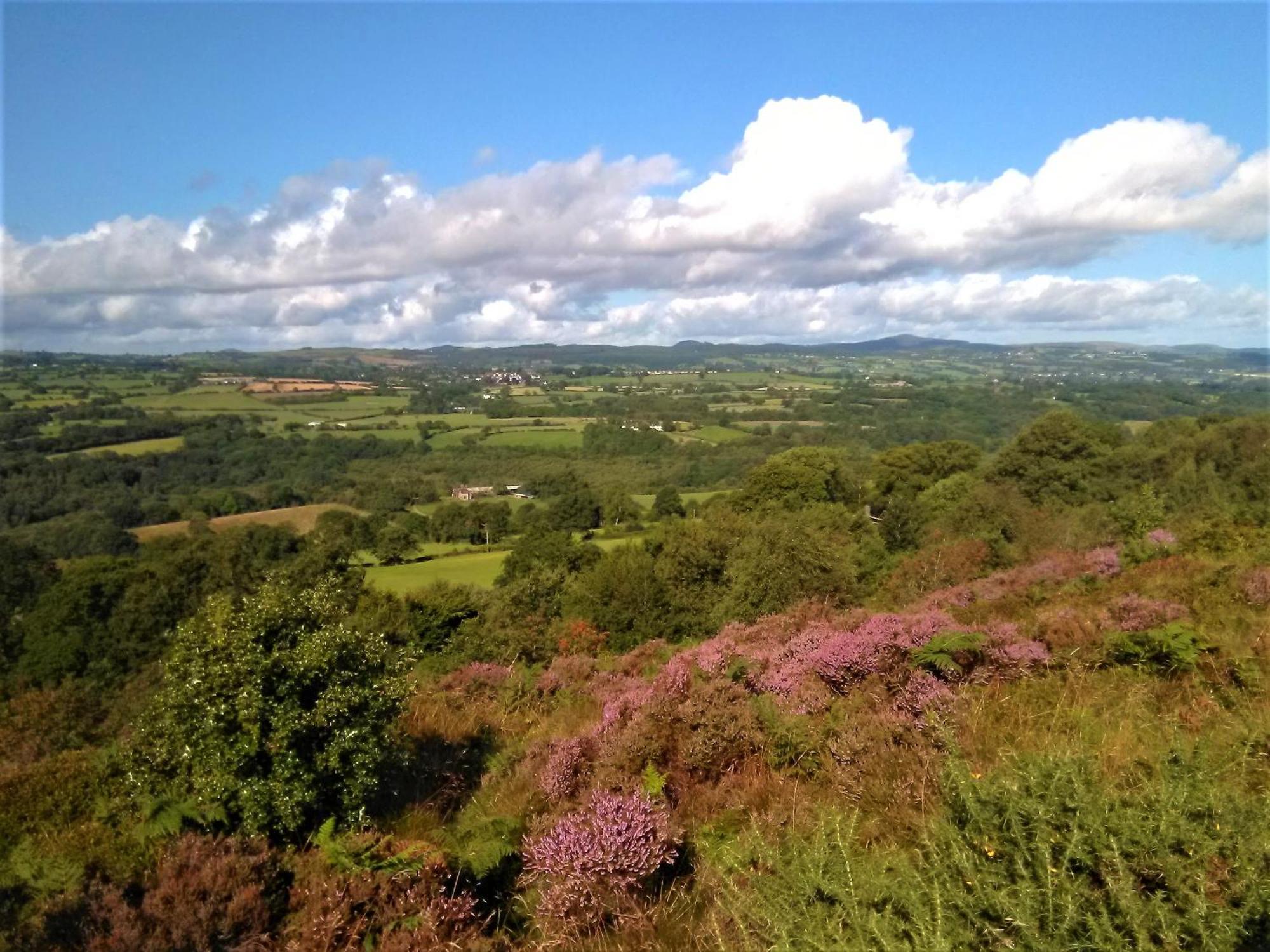 Tranquil Countryside Cottage For Two Wrexham Extérieur photo